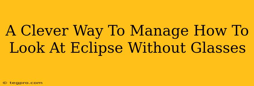 A Clever Way To Manage How To Look At Eclipse Without Glasses