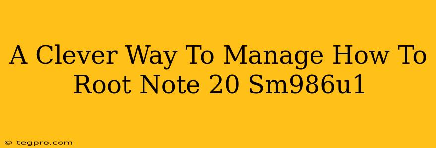 A Clever Way To Manage How To Root Note 20 Sm986u1