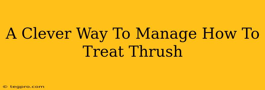 A Clever Way To Manage How To Treat Thrush