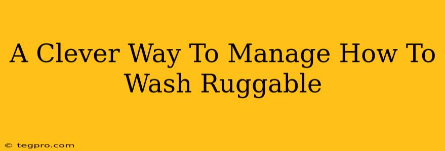 A Clever Way To Manage How To Wash Ruggable