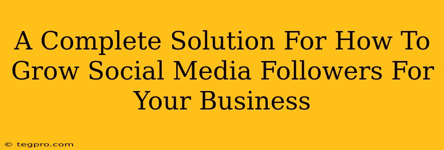 A Complete Solution For How To Grow Social Media Followers For Your Business