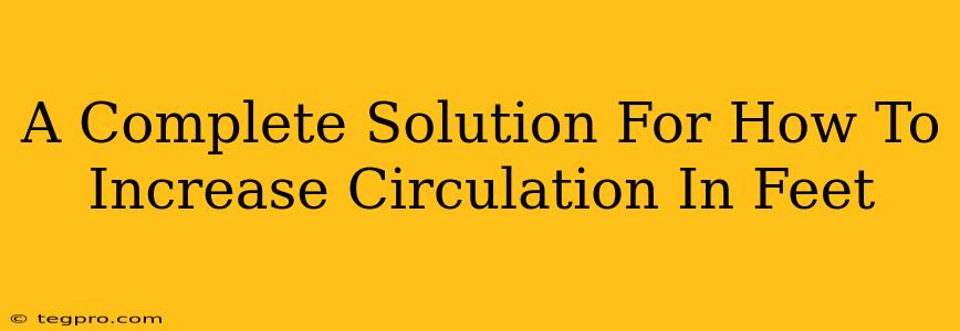 A Complete Solution For How To Increase Circulation In Feet