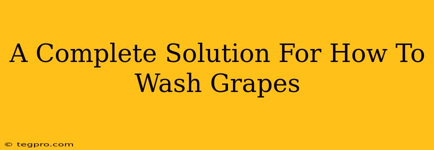 A Complete Solution For How To Wash Grapes