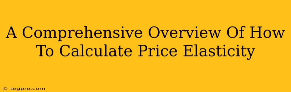 A Comprehensive Overview Of How To Calculate Price Elasticity