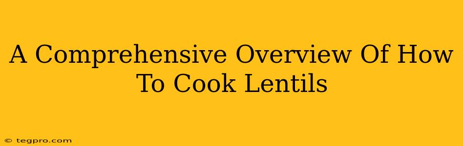 A Comprehensive Overview Of How To Cook Lentils