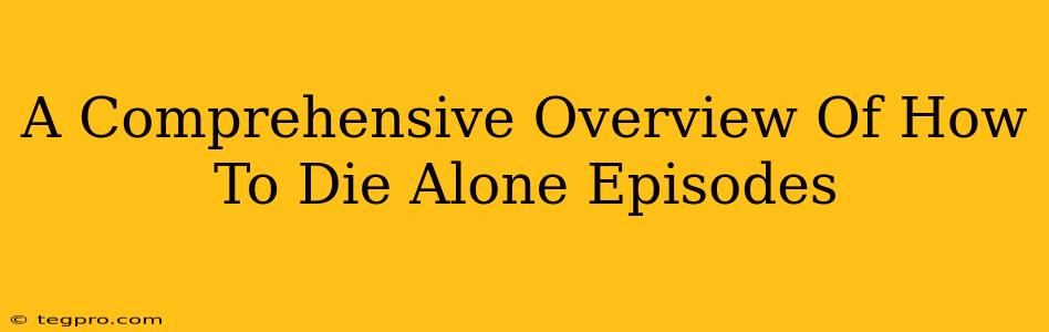 A Comprehensive Overview Of How To Die Alone Episodes