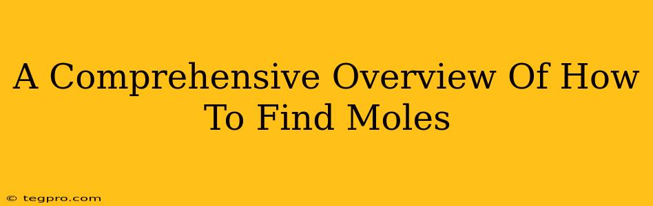 A Comprehensive Overview Of How To Find Moles