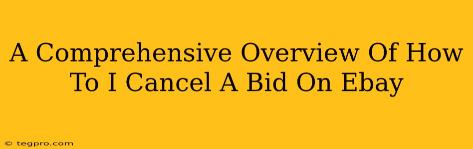 A Comprehensive Overview Of How To I Cancel A Bid On Ebay