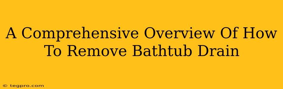 A Comprehensive Overview Of How To Remove Bathtub Drain