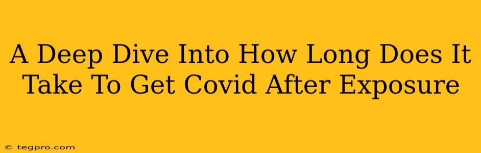 A Deep Dive Into How Long Does It Take To Get Covid After Exposure