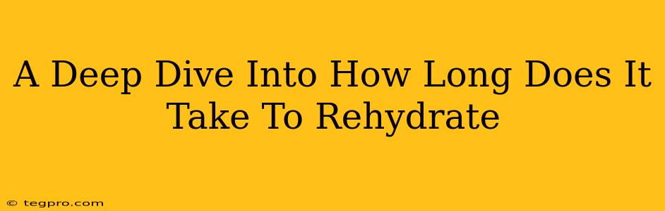 A Deep Dive Into How Long Does It Take To Rehydrate
