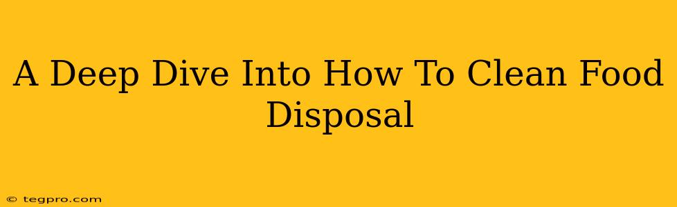 A Deep Dive Into How To Clean Food Disposal