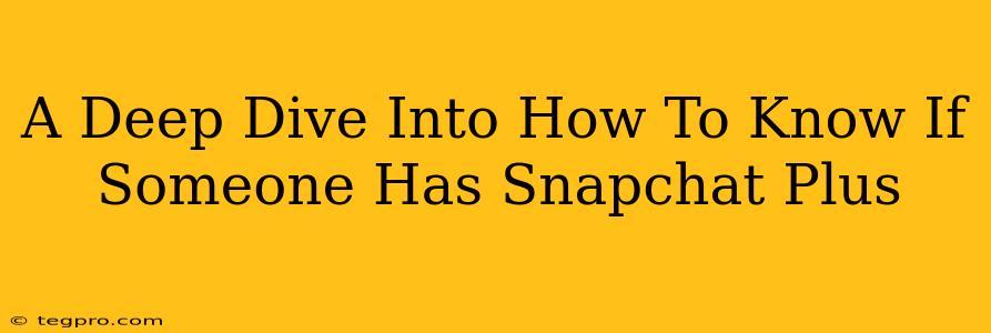 A Deep Dive Into How To Know If Someone Has Snapchat Plus