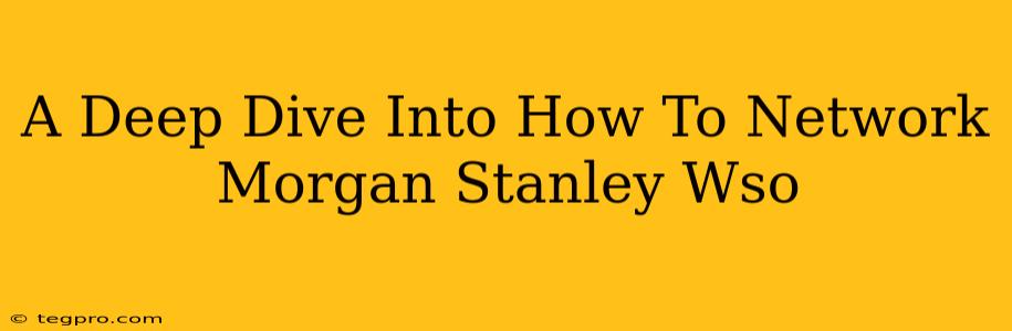 A Deep Dive Into How To Network Morgan Stanley Wso