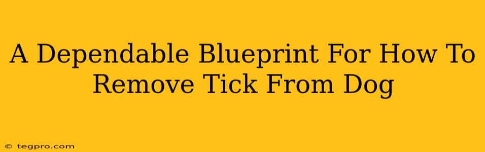 A Dependable Blueprint For How To Remove Tick From Dog