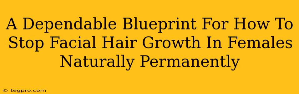 A Dependable Blueprint For How To Stop Facial Hair Growth In Females Naturally Permanently