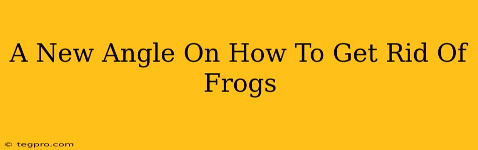 A New Angle On How To Get Rid Of Frogs