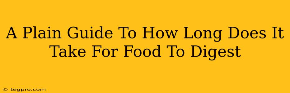 A Plain Guide To How Long Does It Take For Food To Digest