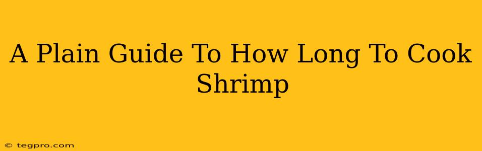 A Plain Guide To How Long To Cook Shrimp