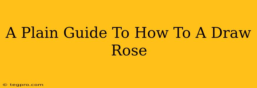 A Plain Guide To How To A Draw Rose