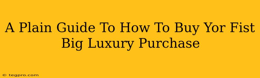 A Plain Guide To How To Buy Yor Fist Big Luxury Purchase