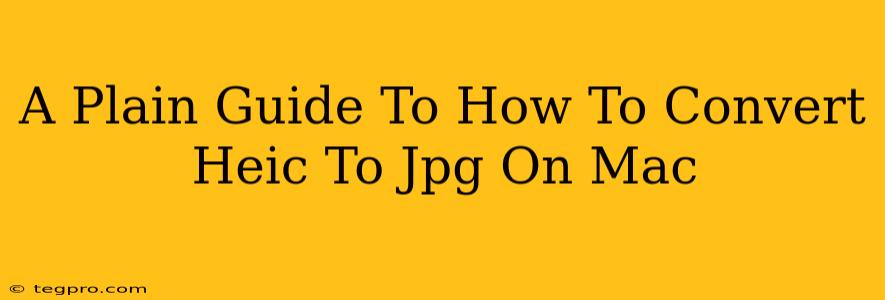 A Plain Guide To How To Convert Heic To Jpg On Mac