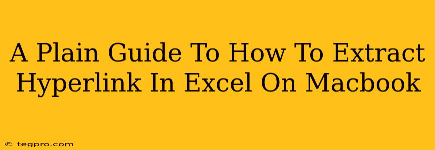 A Plain Guide To How To Extract Hyperlink In Excel On Macbook