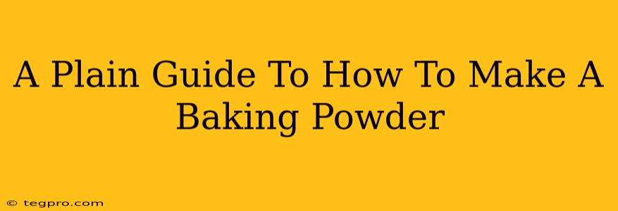 A Plain Guide To How To Make A Baking Powder