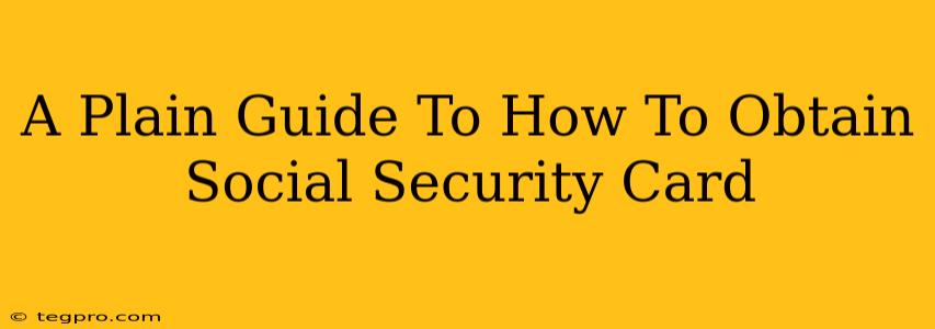 A Plain Guide To How To Obtain Social Security Card