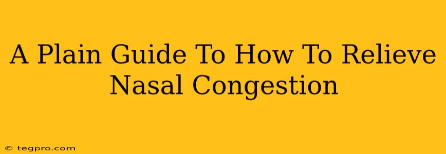 A Plain Guide To How To Relieve Nasal Congestion