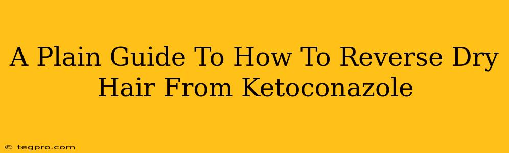 A Plain Guide To How To Reverse Dry Hair From Ketoconazole