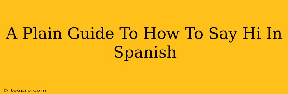 A Plain Guide To How To Say Hi In Spanish