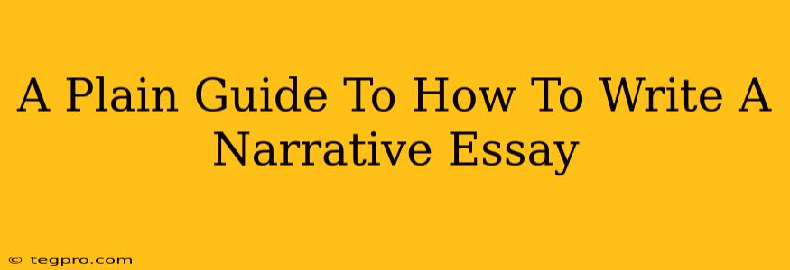 A Plain Guide To How To Write A Narrative Essay