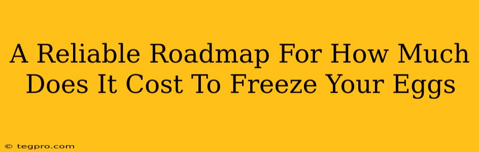 A Reliable Roadmap For How Much Does It Cost To Freeze Your Eggs