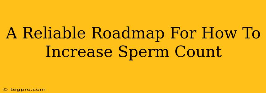 A Reliable Roadmap For How To Increase Sperm Count