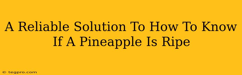 A Reliable Solution To How To Know If A Pineapple Is Ripe