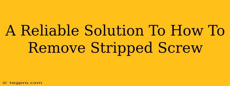 A Reliable Solution To How To Remove Stripped Screw