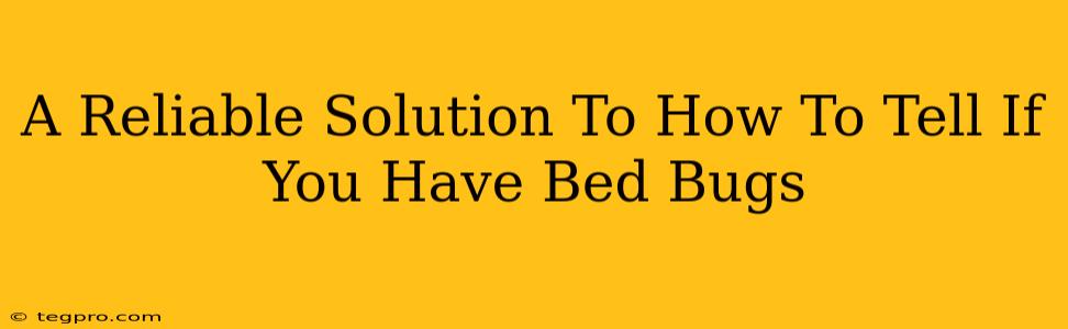 A Reliable Solution To How To Tell If You Have Bed Bugs