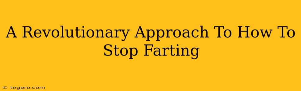 A Revolutionary Approach To How To Stop Farting