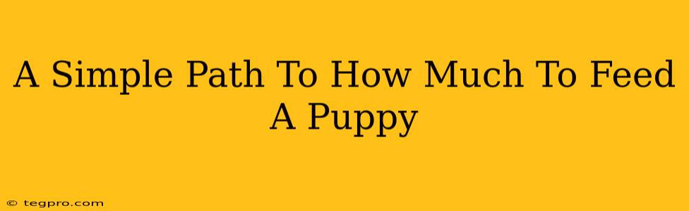 A Simple Path To How Much To Feed A Puppy