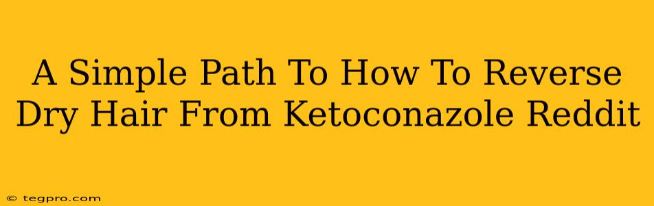 A Simple Path To How To Reverse Dry Hair From Ketoconazole Reddit