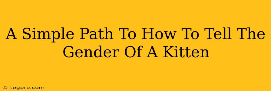 A Simple Path To How To Tell The Gender Of A Kitten