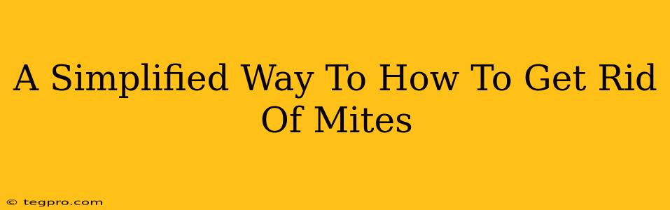 A Simplified Way To How To Get Rid Of Mites