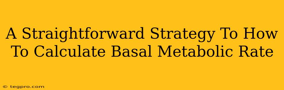 A Straightforward Strategy To How To Calculate Basal Metabolic Rate