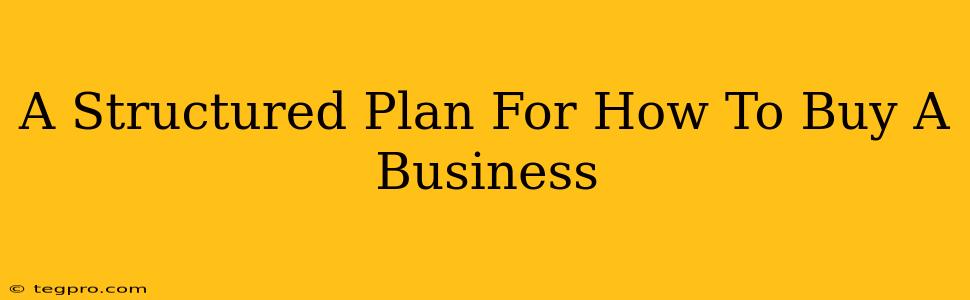 A Structured Plan For How To Buy A Business