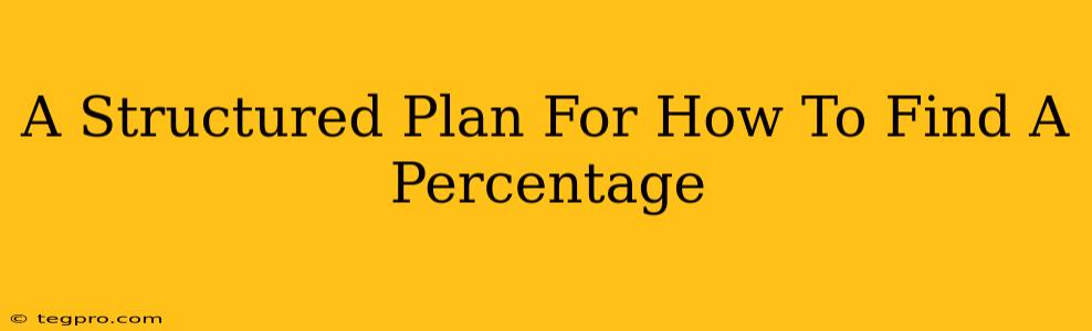 A Structured Plan For How To Find A Percentage