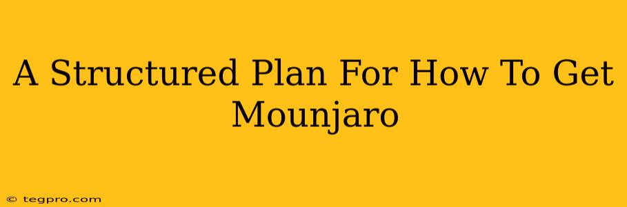 A Structured Plan For How To Get Mounjaro