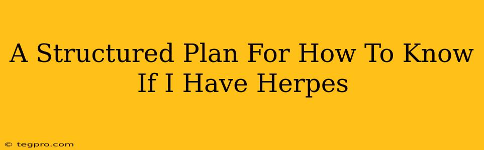 A Structured Plan For How To Know If I Have Herpes