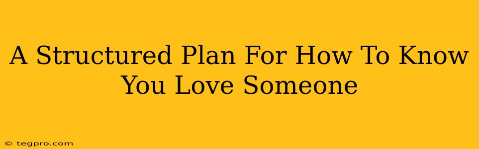 A Structured Plan For How To Know You Love Someone