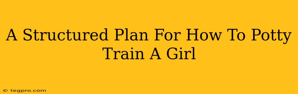 A Structured Plan For How To Potty Train A Girl